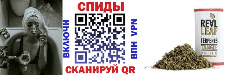Бутират BDO  Купить где  Котлас 