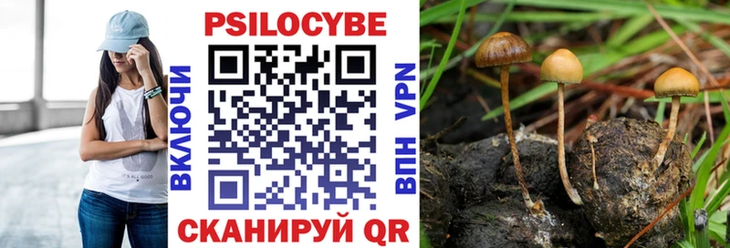 Купить  Котлас  Галлюциногенные грибы прущие грибы 